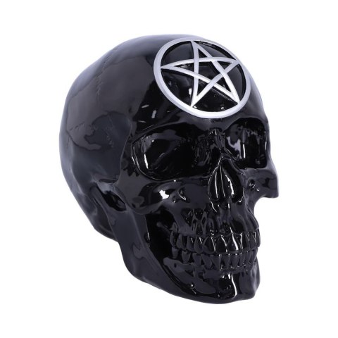 Czaszka Black Magic Skull 19.5cm