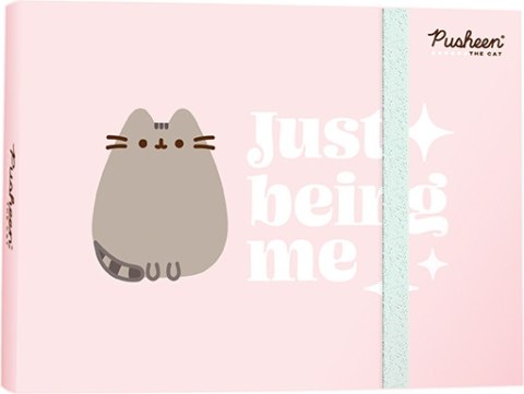 KOT PUSHEEN - Pamiętnik notes notatnik z gumką