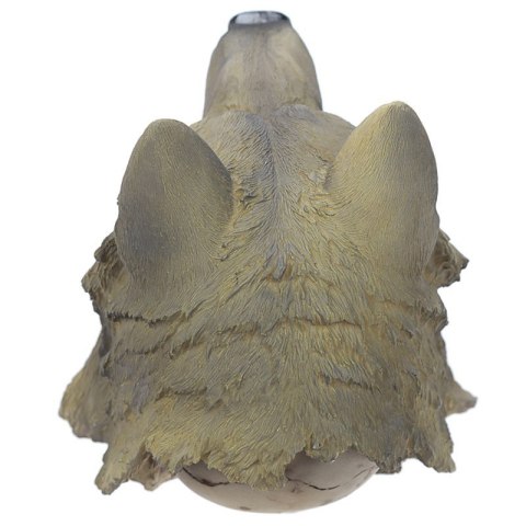 Czaszka Szamana w skórze wilka indianin