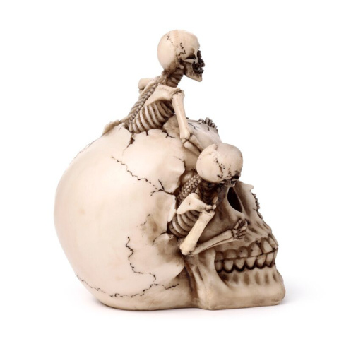 Dekoracyjna czaszka ze szkieletami - skull 18cm