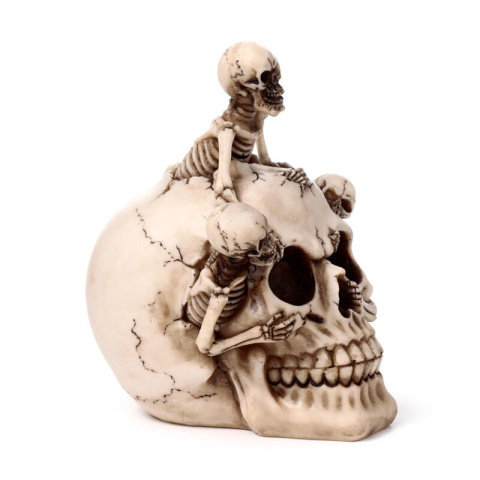 Dekoracyjna czaszka ze szkieletami - skull 18cm