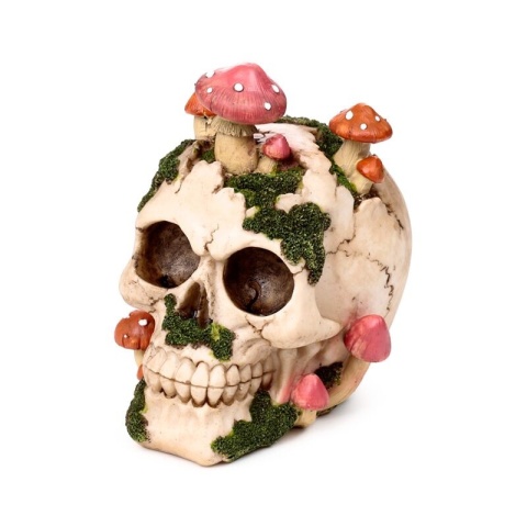 Czaszka z muchomorami i mchem - skull 15cm