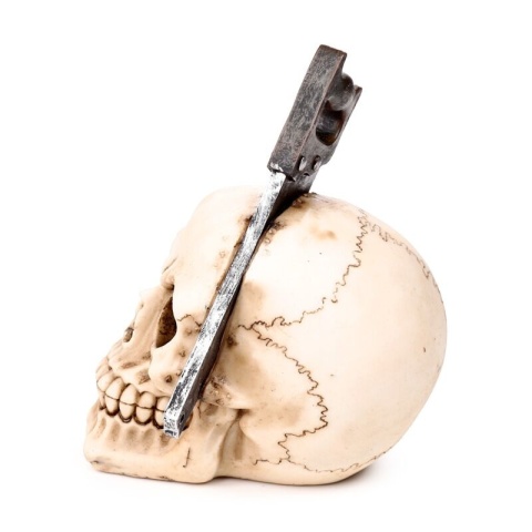 Przepiłowana Czaszka - skull 18cm