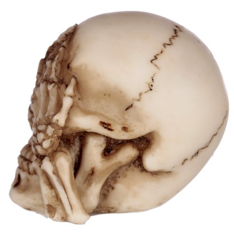 Zestaw 3 czaszek Nie widzę, nie słyszę, nie mówię